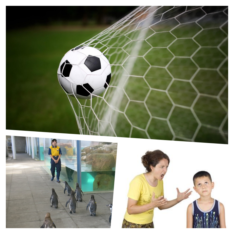 Collage%20Interview%203